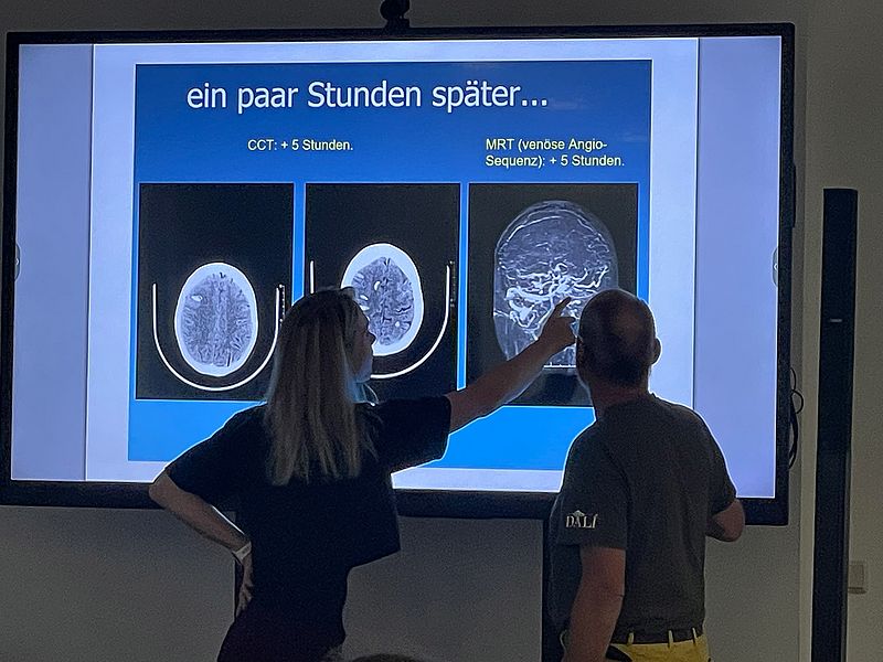 Summerschool von Prof. Dr. Strittmatter Summerschool von Prof. Dr. Strittmatter,